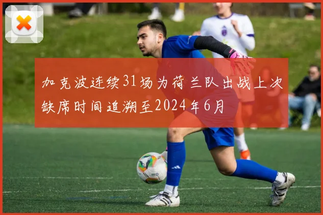 加克波连续31场为荷兰队出战上次缺席时间追溯至2024年6月