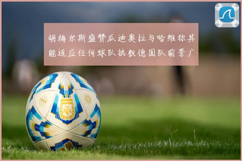 胡梅尔斯盛赞瓜迪奥拉与哈维称其能适应任何球队执教德国队前景广阔